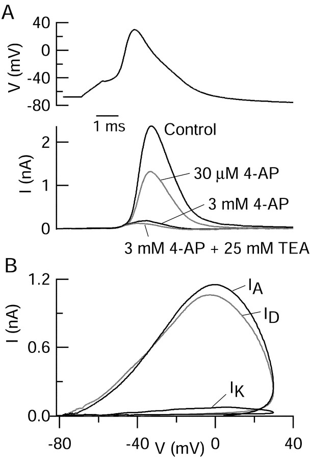 Fig. 7.