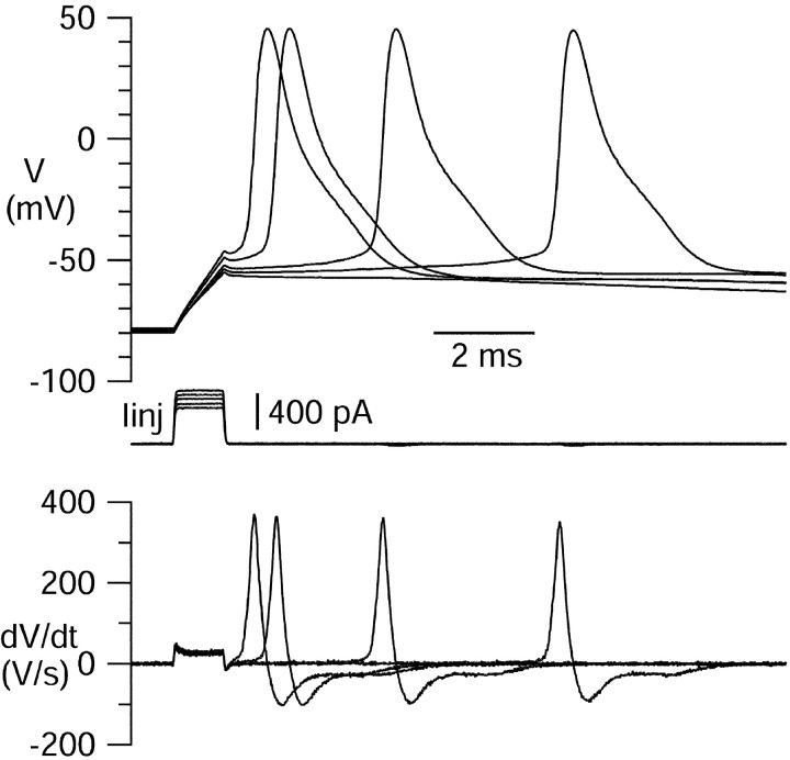 Fig. 1.