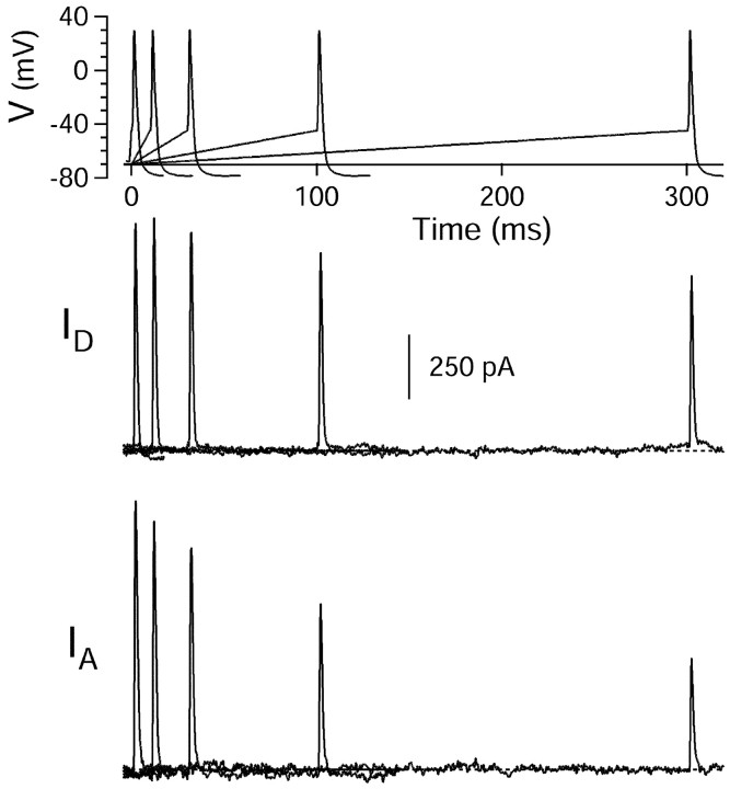 Fig. 11.