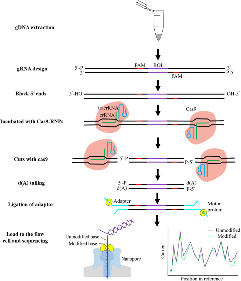 FIGURE 1