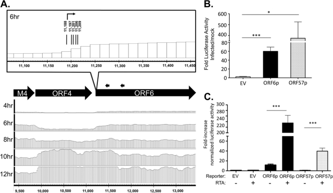 Fig 6