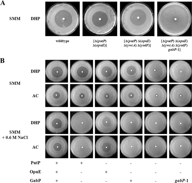 FIG 1