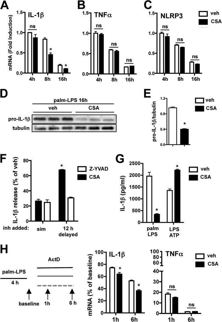 FIGURE 10.