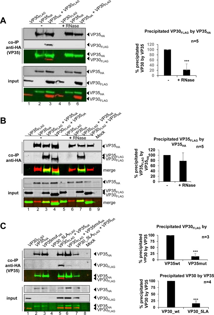 FIG 6