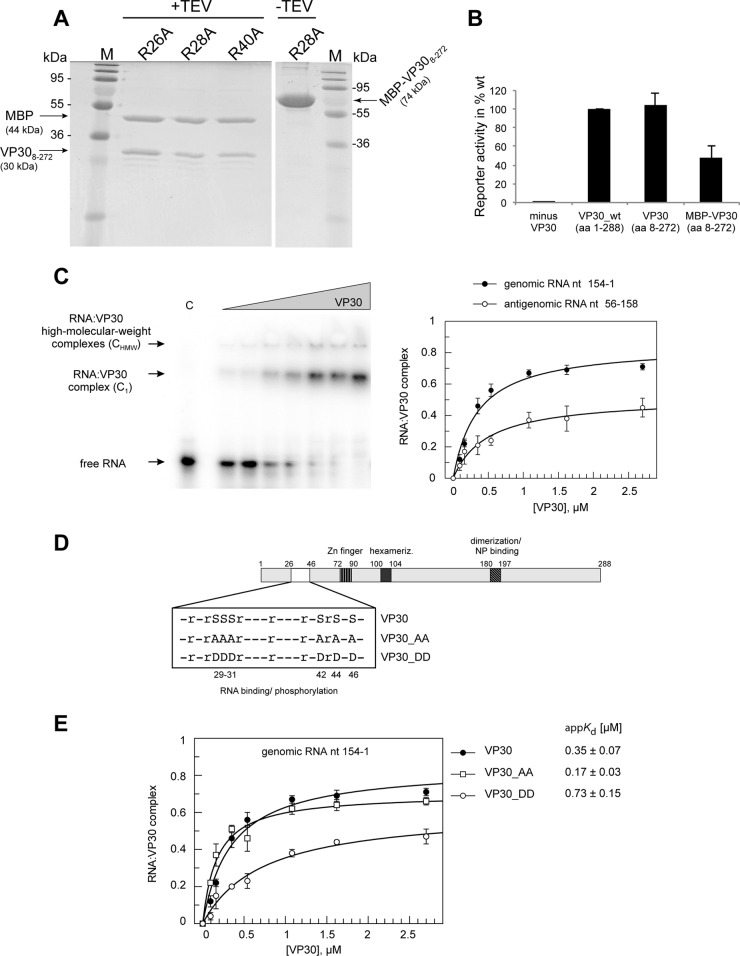 FIG 1