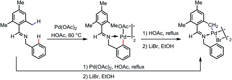 Scheme 4