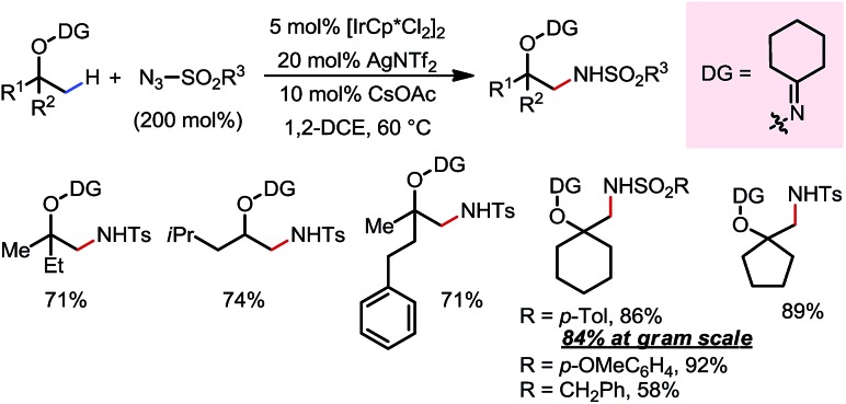 Scheme 11