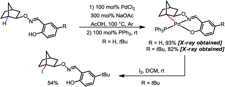 Scheme 10