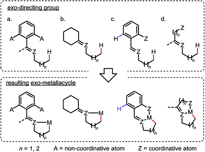 Scheme 6