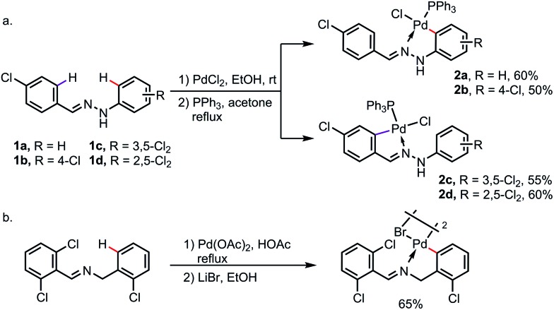 Scheme 5