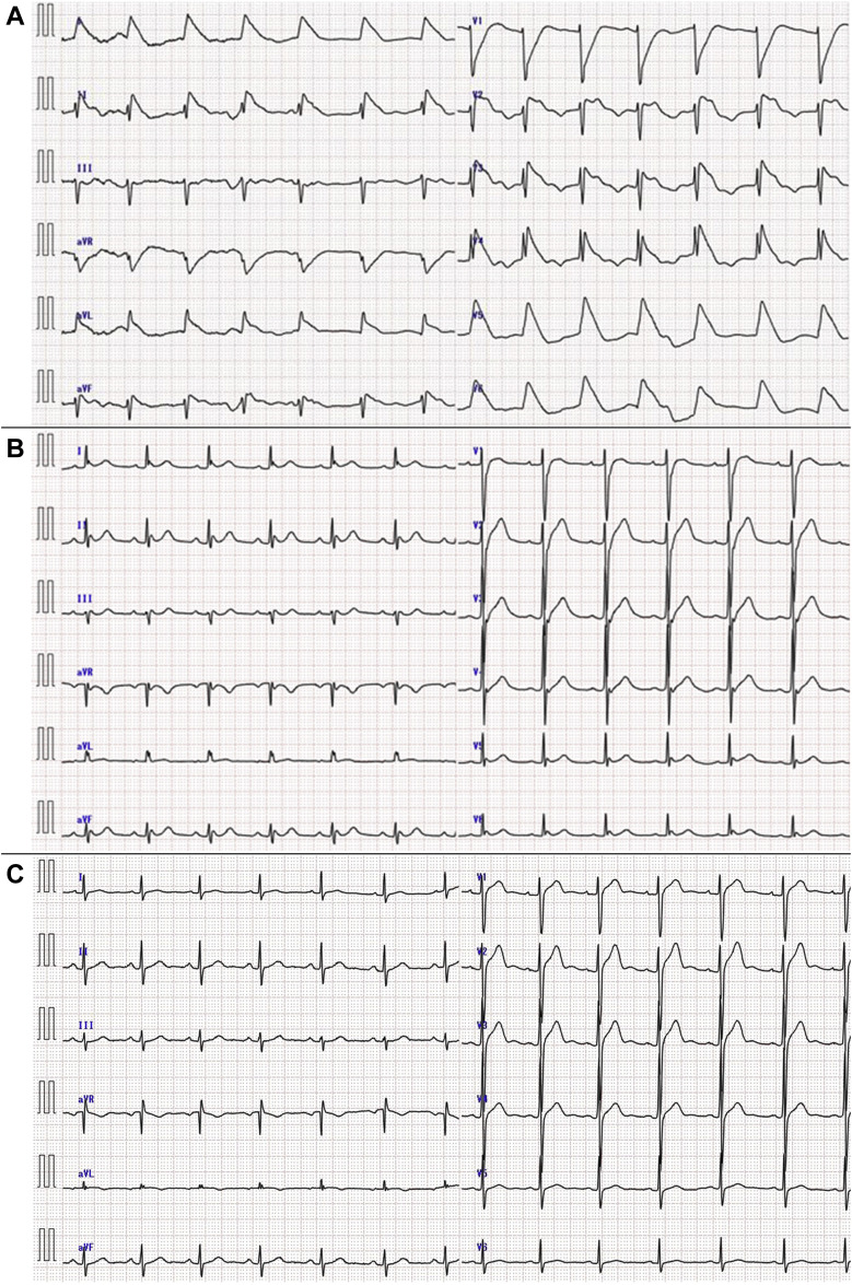 Figure 1