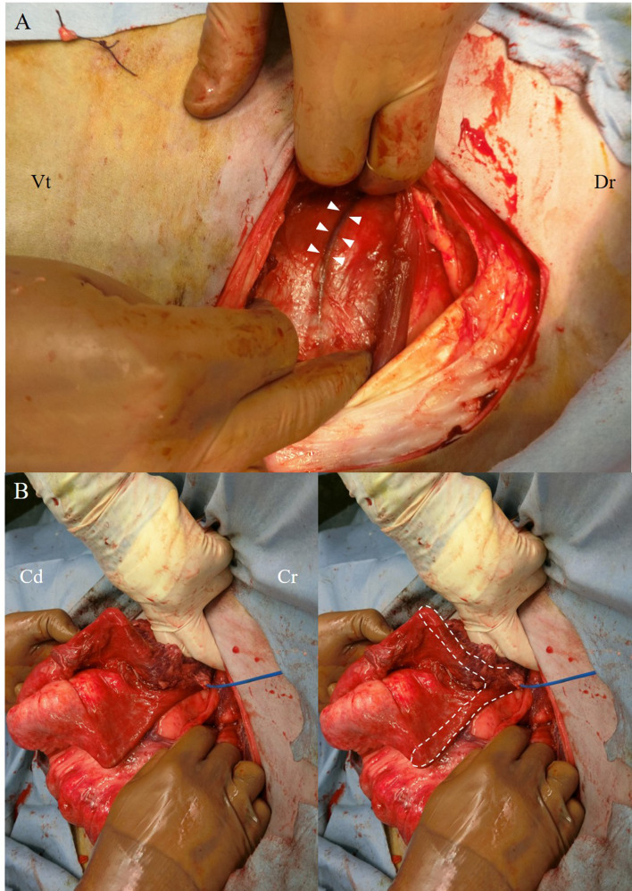 Fig. 3.