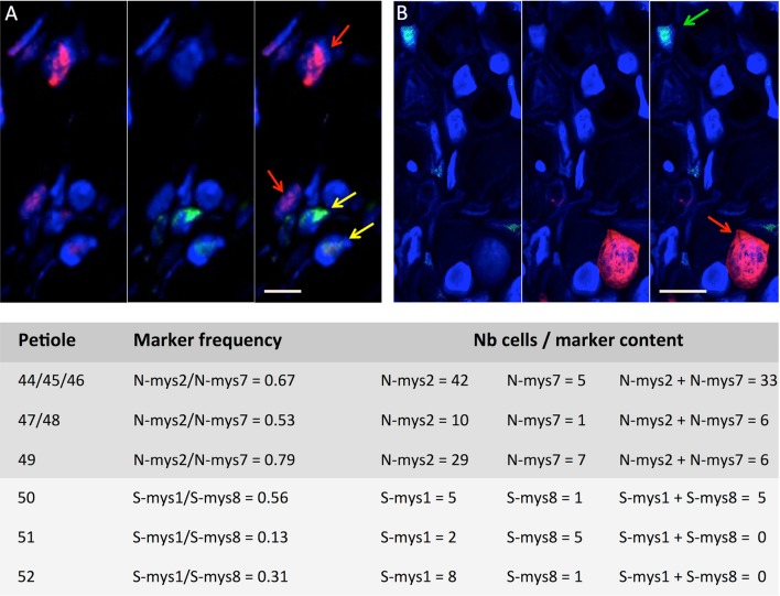 Figure 3—figure supplement 1.