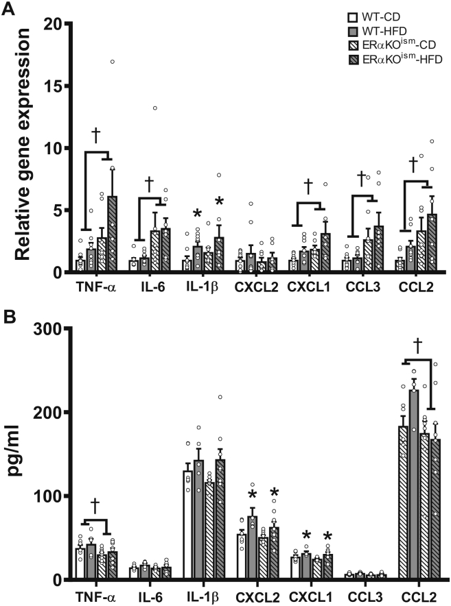 Figure 5