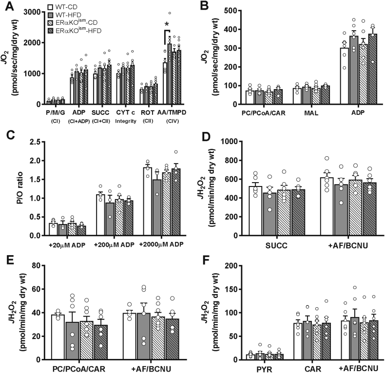 Figure 6