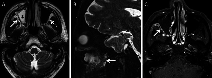 Fig. 8