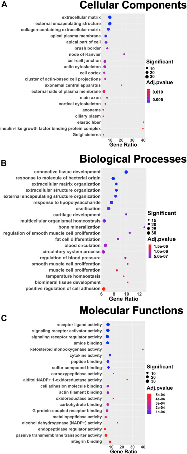 FIGURE 4