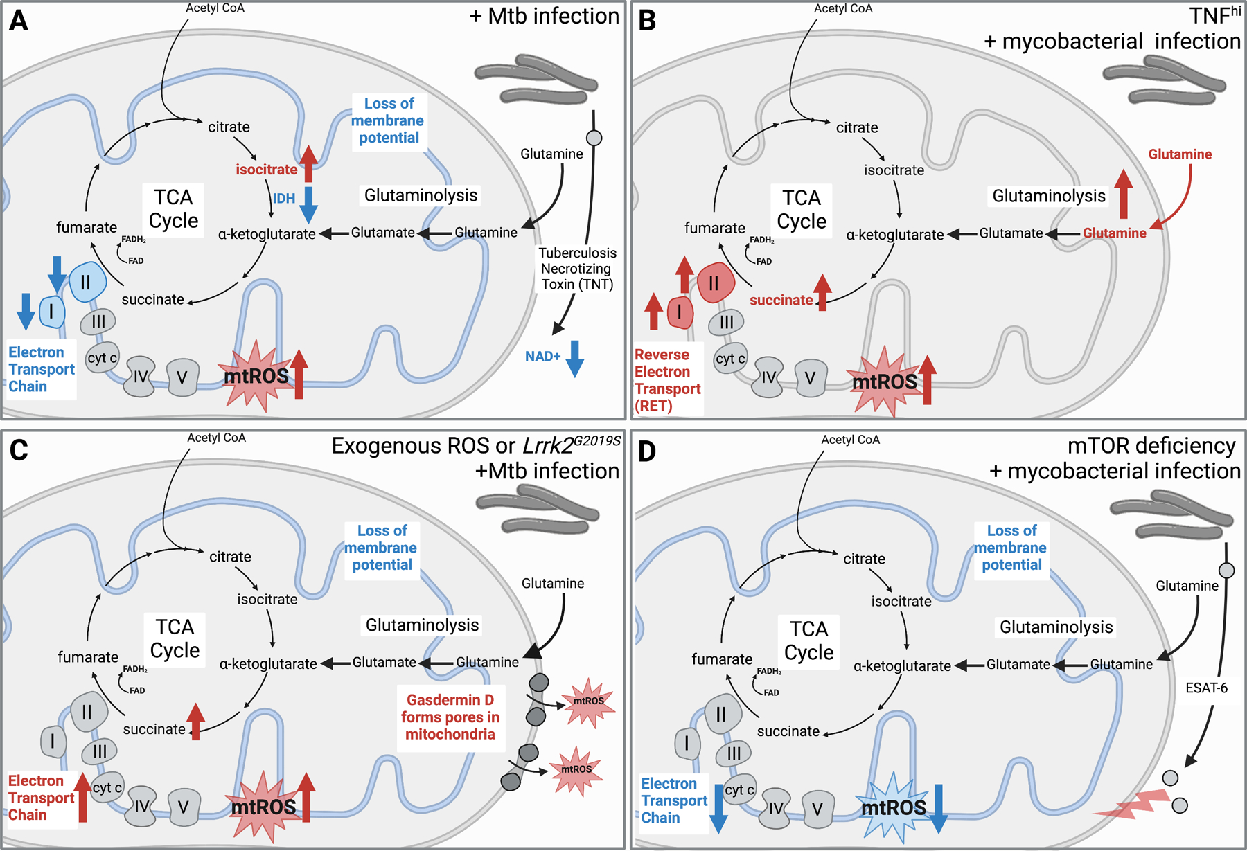 Figure 1: