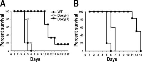 FIGURE 9.