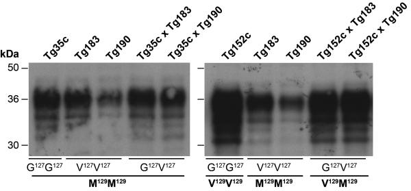 Extended Data Figure 1