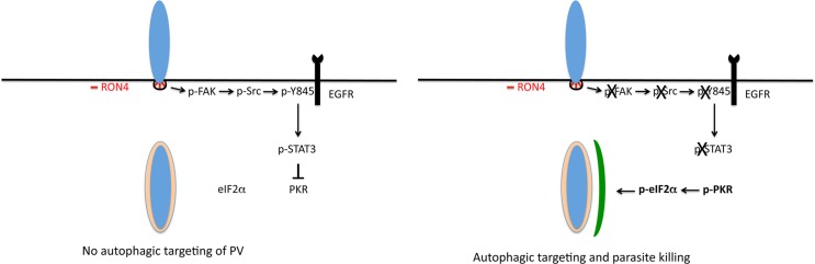 Fig 9