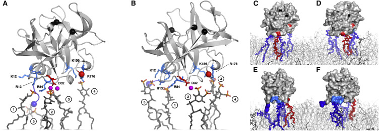 Figure 5