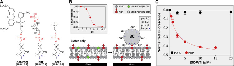 Figure 4