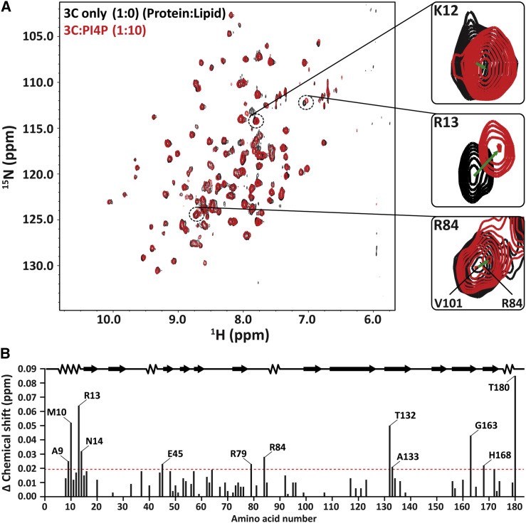 Figure 2