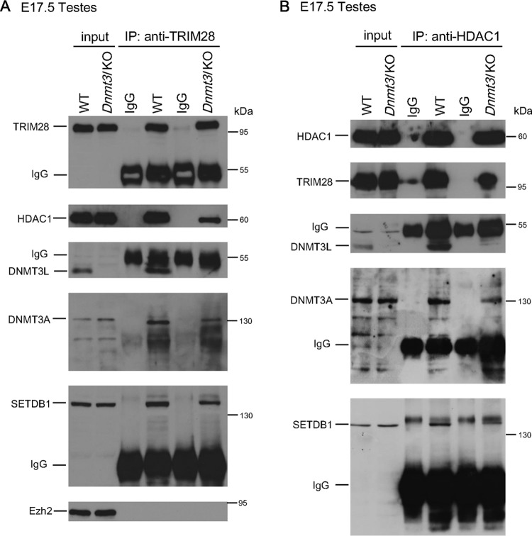 FIG 10