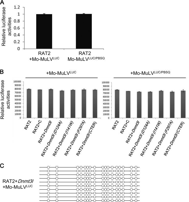 FIG 6