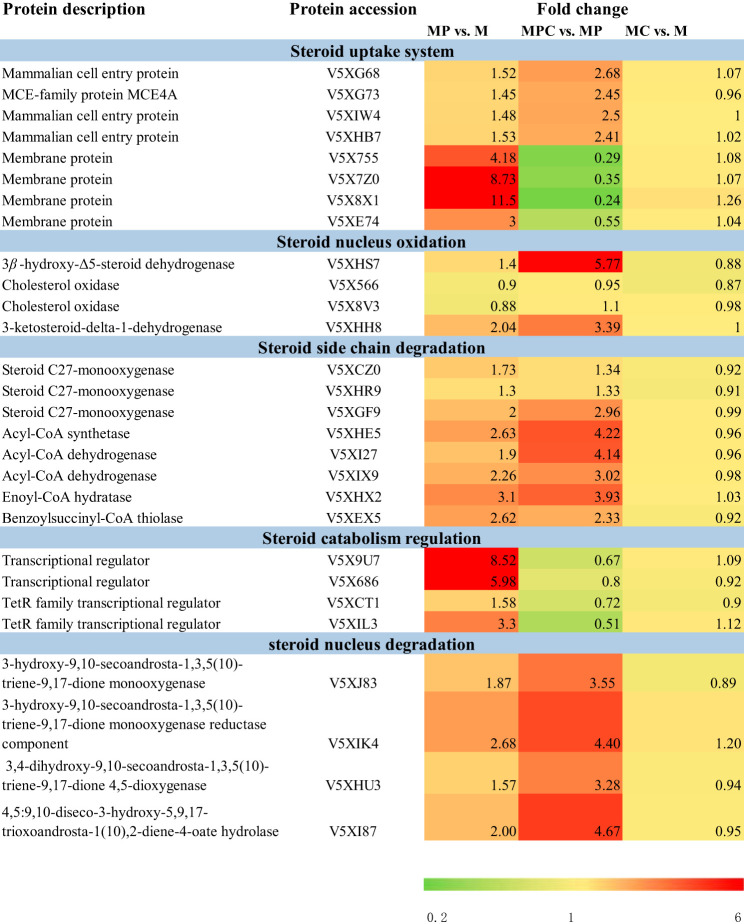 graphic file with name AEM.00441-20-f0008.jpg