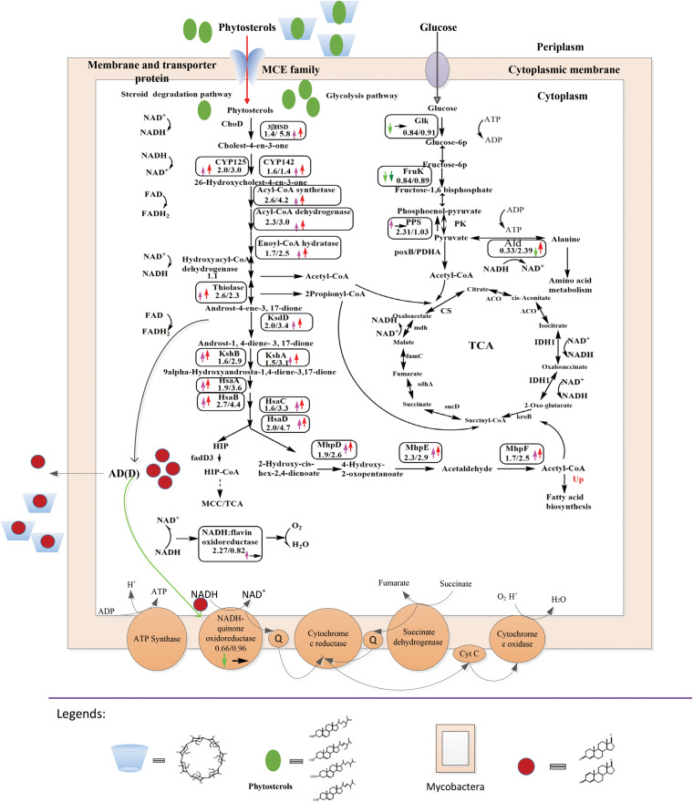 FIG 1