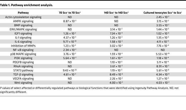 graphic file with name jciinsight-5-138295-g248.jpg