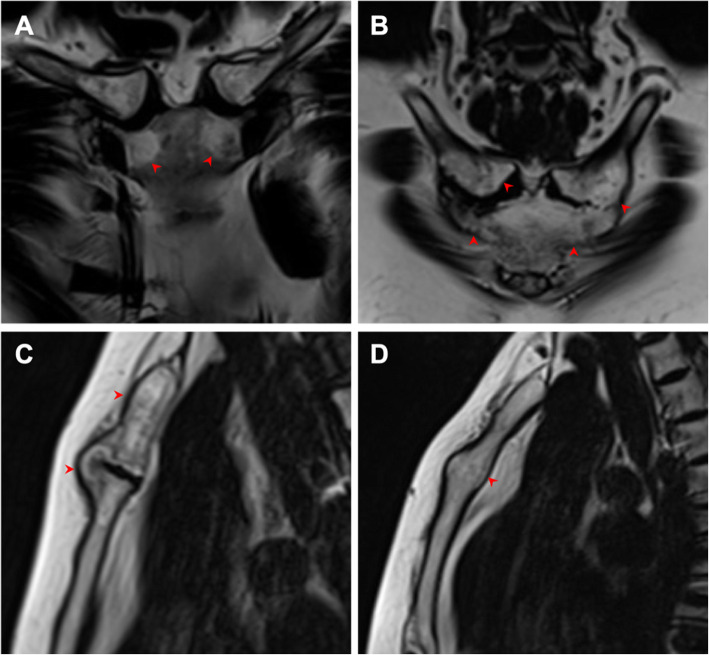 Fig. 5