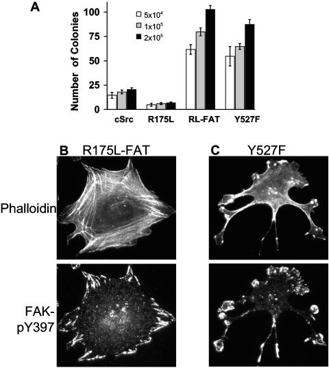 FIG. 7.