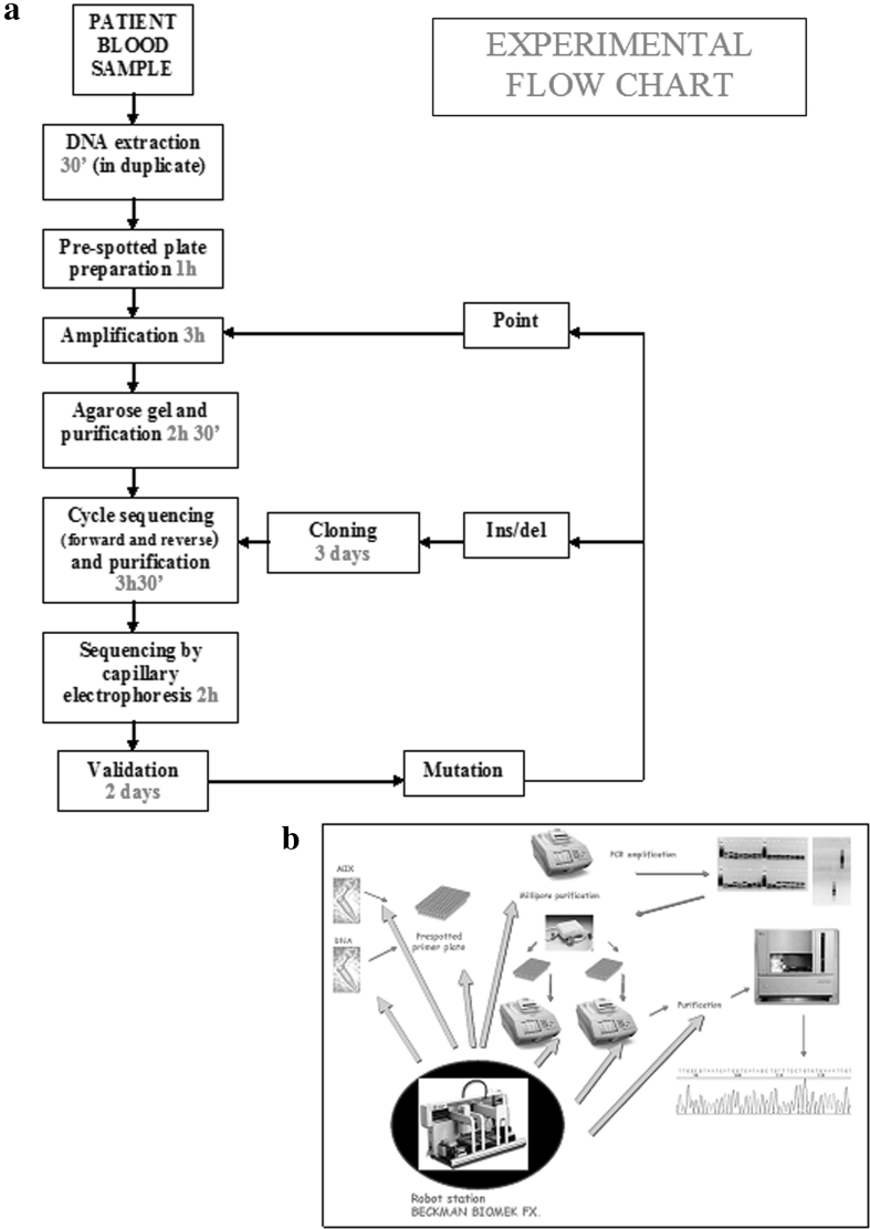 Fig. 2