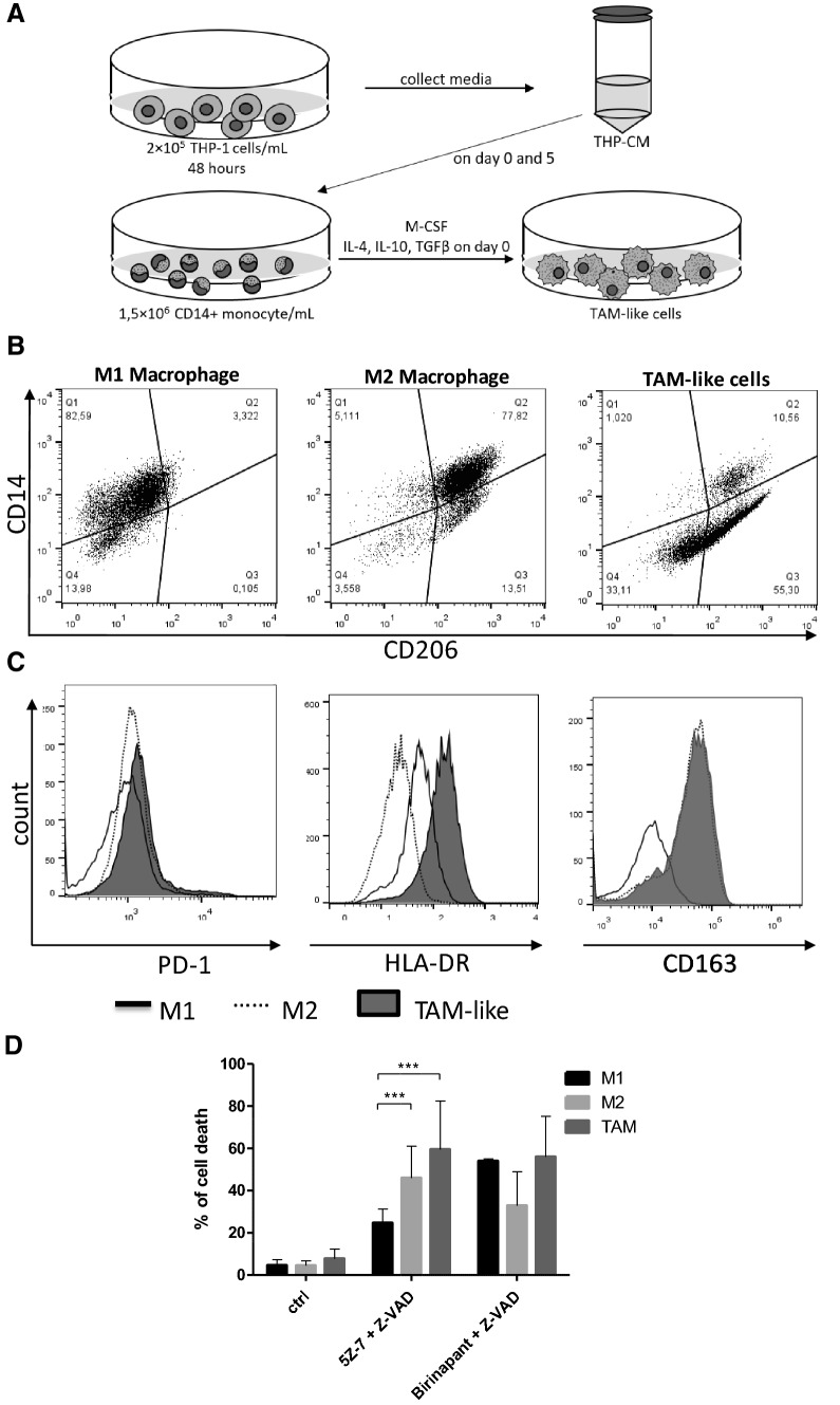 Fig. 6