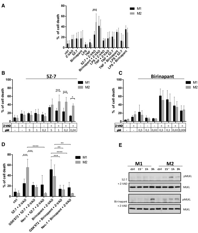 Fig. 2