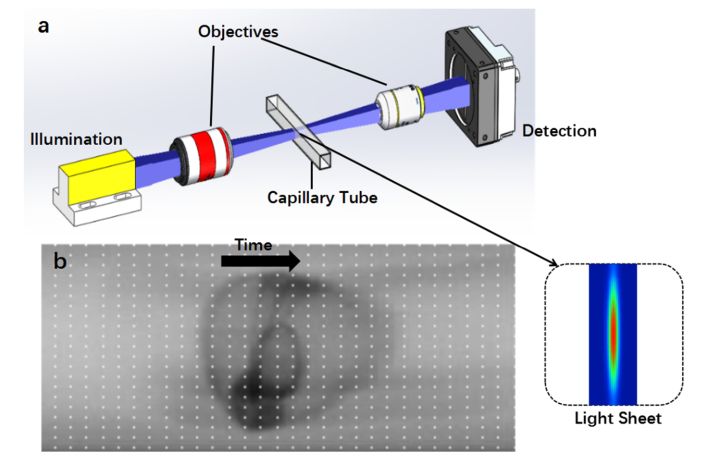 Fig. 1