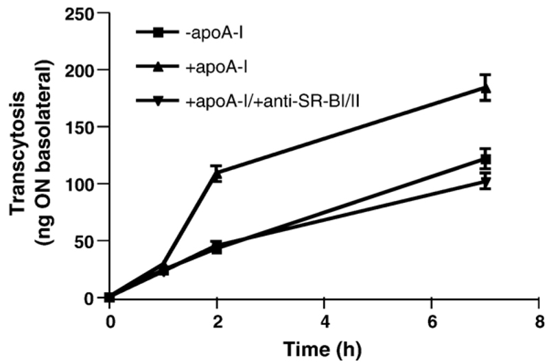 Fig. 8