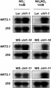 Figure 5.