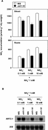 Figure 13.
