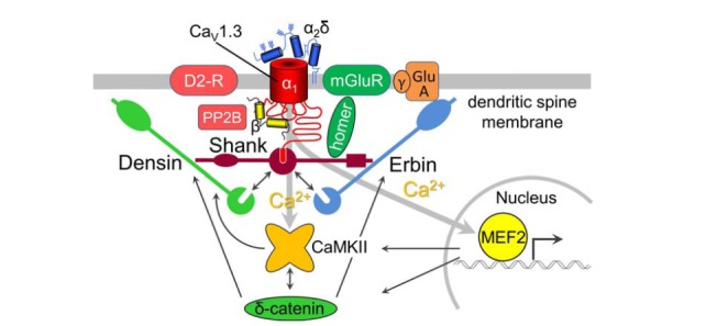 Fig. (1)