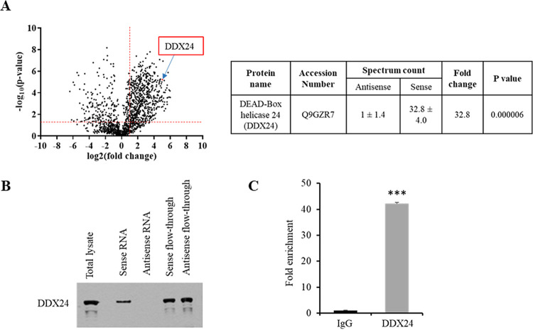 FIG 3