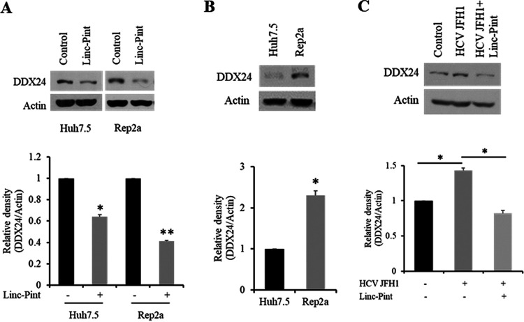 FIG 4