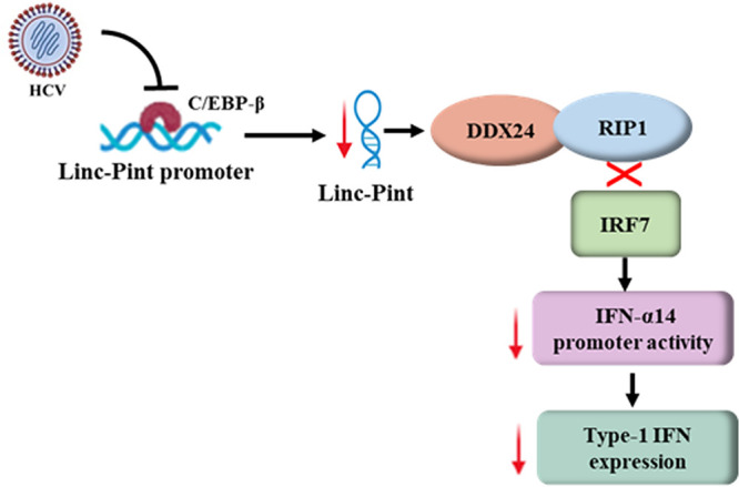 FIG 6