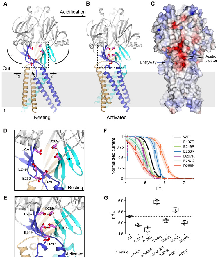 Fig. 6.