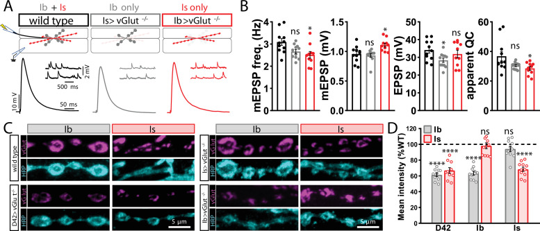 Figure 1—figure supplement 3.