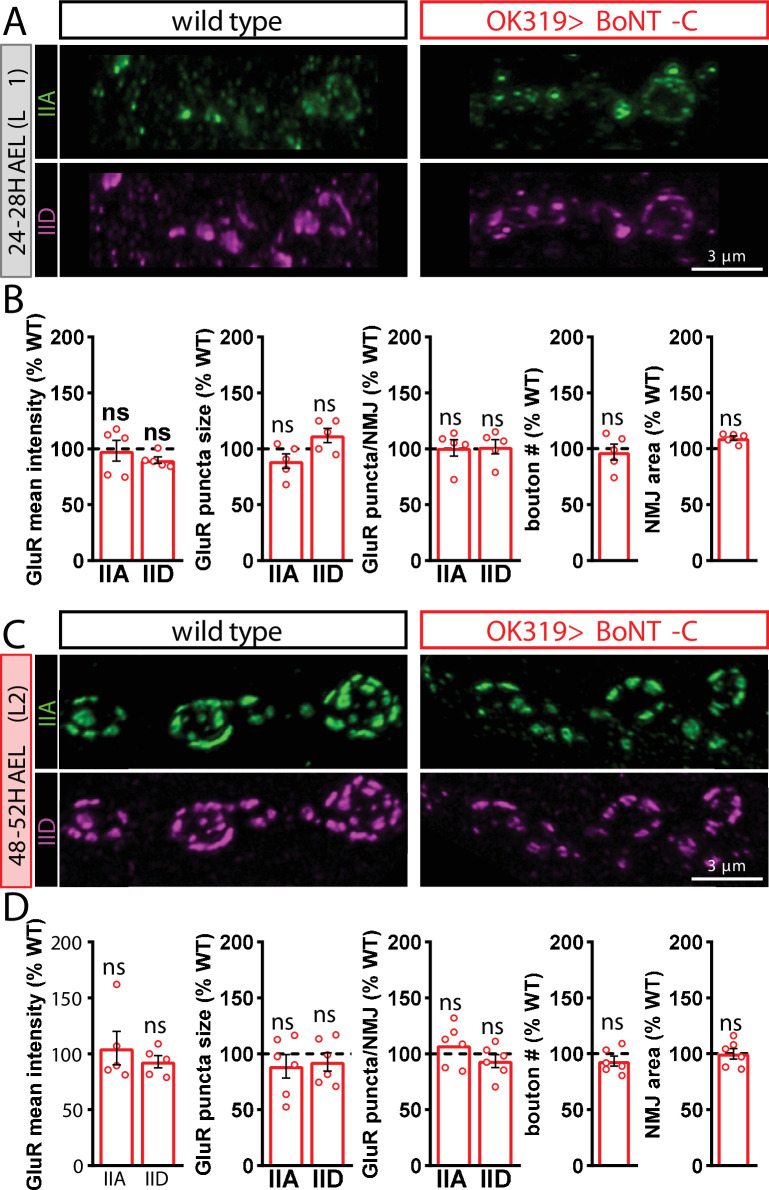 Figure 4—figure supplement 1.