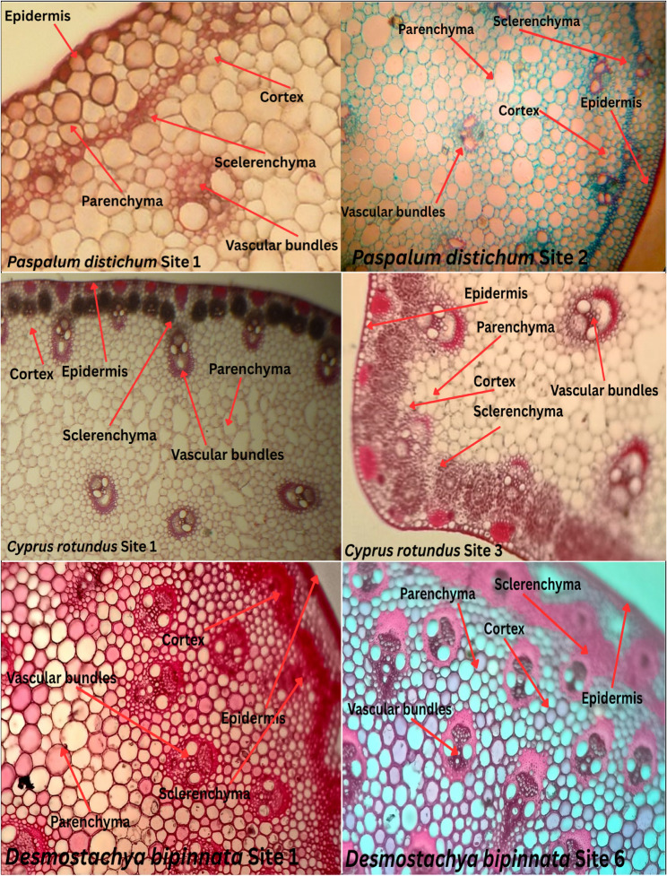 Fig. 11